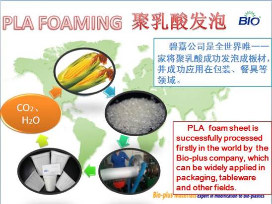 PLA foaming.JPG