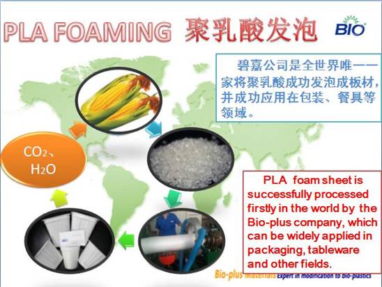 PLA foaming.JPG