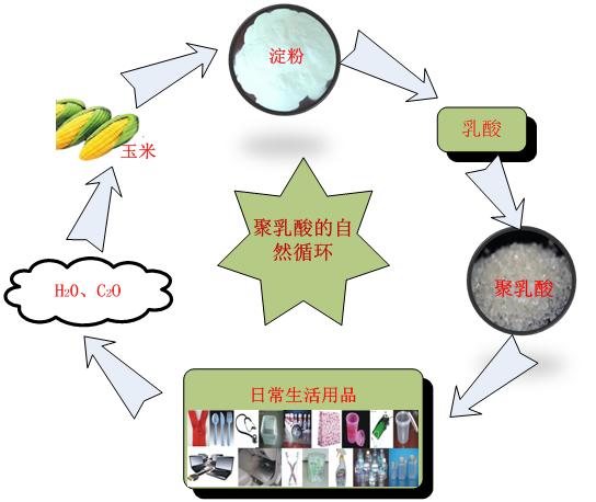 循环图.jpg